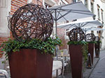 IMGP4447.jpg