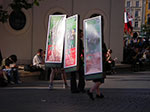 IMGP4457.jpg