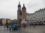 IMGP4481.jpg