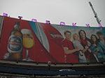 IMGP4509.jpg