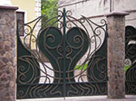 IMGP4545.jpg