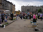 IMGP4549.jpg