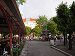 IMGP4564.jpg