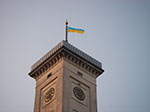 IMGP4579.jpg