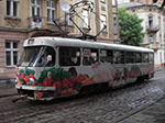 IMGP4593.jpg