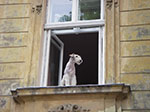 IMGP4596.jpg