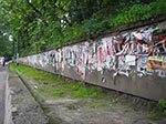IMGP4602.jpg