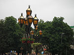 IMGP4629.jpg
