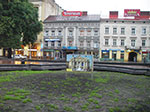 IMGP4636.jpg