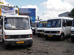 IMGP4664.jpg