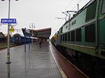 IMGP4683.jpg