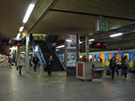 IMGP4688.jpg