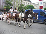 IMGP4703.jpg