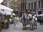 IMGP4707.jpg