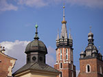IMGP4733.jpg