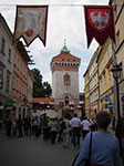 IMGP4736.jpg