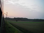 IMGP4749.jpg