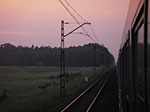 IMGP4753.jpg