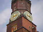 IMGP4783.jpg