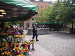 IMGP4787.jpg