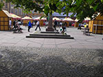 IMGP4789.jpg