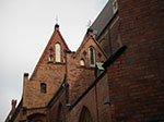 IMGP4793.jpg