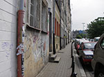 IMGP4795.jpg