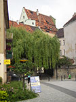 IMGP4799.jpg