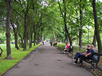 IMGP4802.jpg
