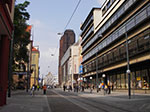 IMGP4818.jpg