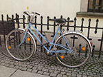IMGP4846.jpg