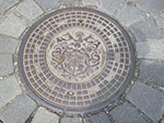 IMGP4848.jpg