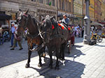 IMGP4873.jpg