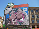 IMGP4876.jpg