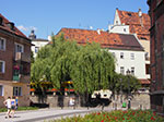IMGP4907.jpg