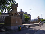 IMGP4910.jpg