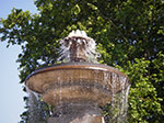IMGP4914.jpg
