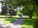 IMGP4920.jpg