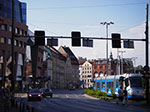IMGP4922.jpg