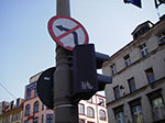 IMGP4925.jpg