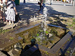 IMGP4929.jpg