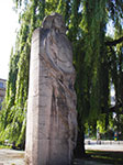 IMGP4930.jpg