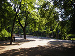 IMGP4934.jpg