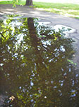 IMGP4940.jpg
