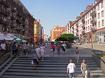 IMGP4948.jpg