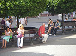IMGP4950.jpg