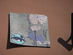 IMGP4951.jpg