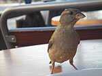 Photos