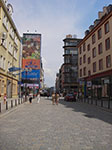 IMGP4979.jpg