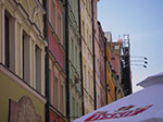 IMGP4983.jpg